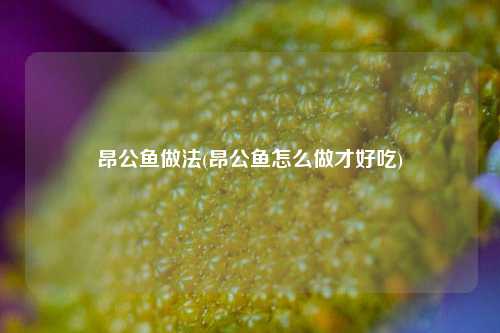 昂公鱼做法(昂公鱼怎么做才好吃)