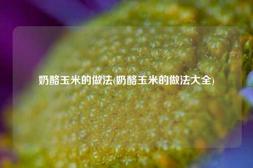 奶酪玉米的做法(奶酪玉米的做法大全)