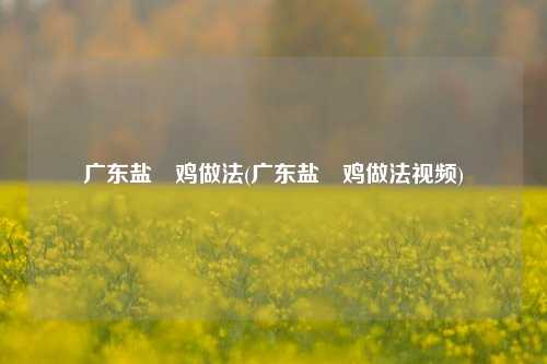 广东盐焗鸡做法(广东盐焗鸡做法视频)