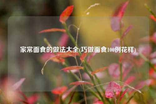 家常面食的做法大全(巧做面食100例花样)