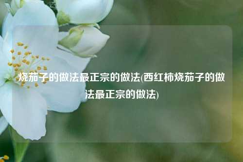 烧茄子的做法最正宗的做法(西红柿烧茄子的做法最正宗的做法)