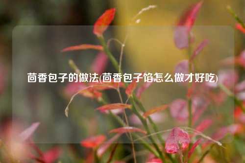 茴香包子的做法(茴香包子馅怎么做才好吃)