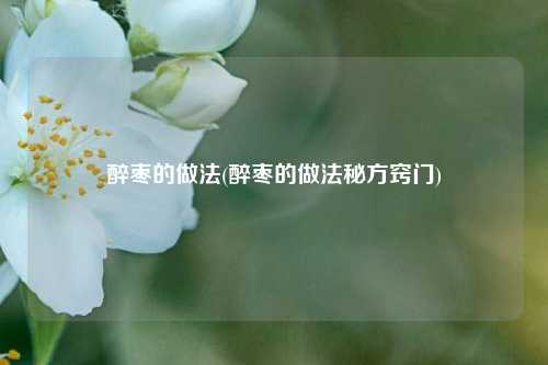 醉枣的做法(醉枣的做法秘方窍门)