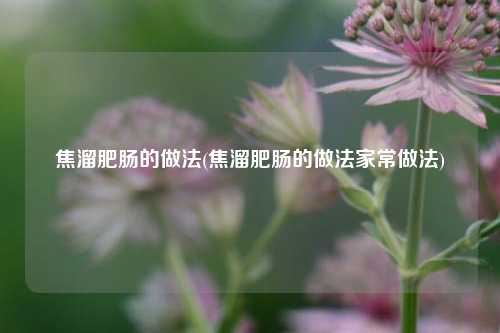 焦溜肥肠的做法(焦溜肥肠的做法家常做法)