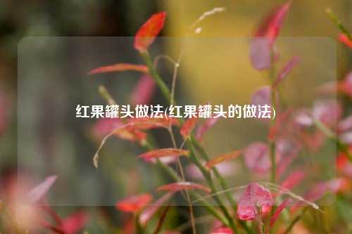红果罐头做法(红果罐头的做法)