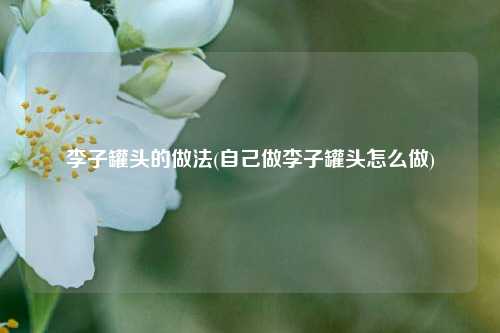 李子罐头的做法(自己做李子罐头怎么做)