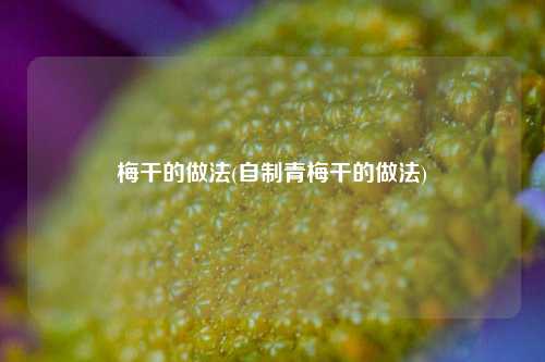 梅干的做法(自制青梅干的做法)
